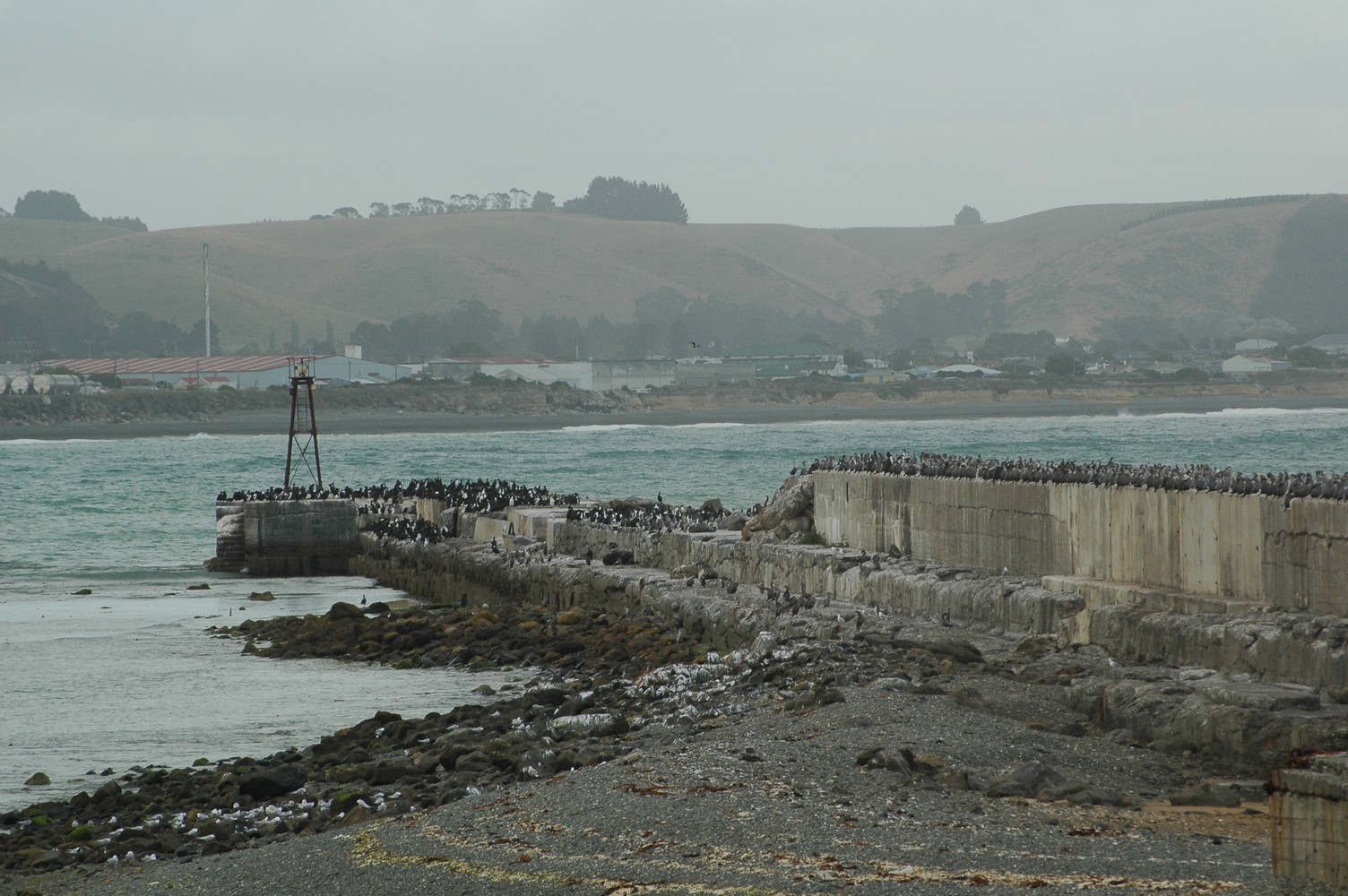 154   25 01   Fox Glacier   Oamura